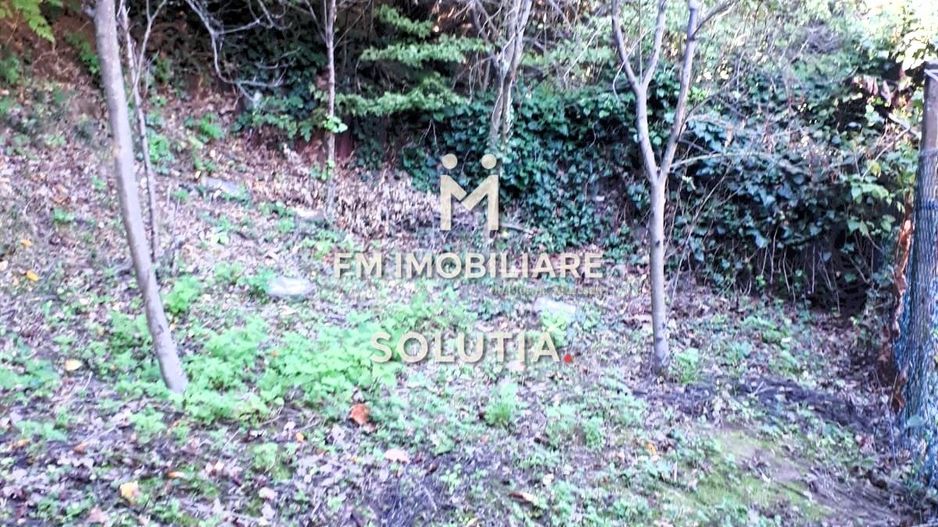 Casă Valea Roșie, Baia Mare - Poză 13