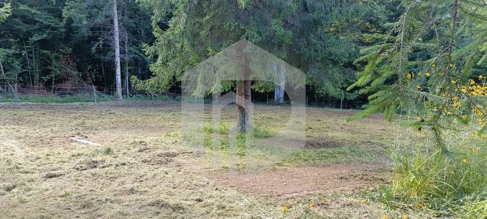 Teren Valea Avrigului- 900 mp- Intravilan+ Certificat de urbanism - Poză 5