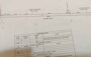 Teren Intravilan 7.295 mp | Deschidere la DN 73, Mărăcineni - Poză 1