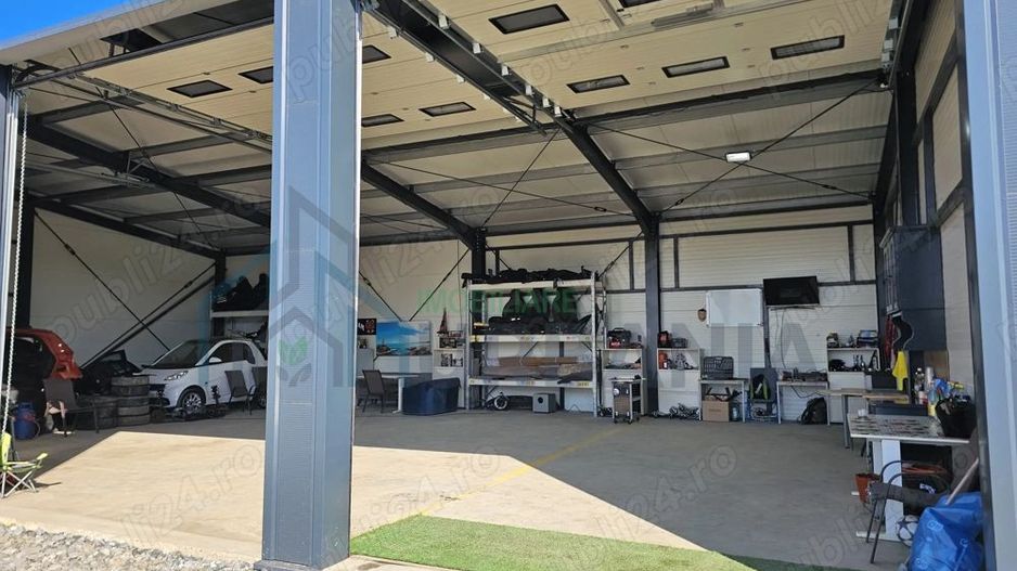 Caut coleg hala - Poză 2