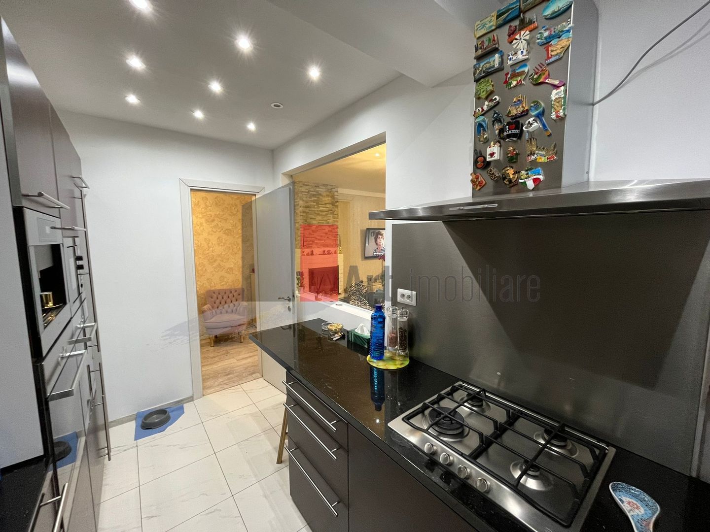 Vila "FUNTZIO", zona Domenii-Grivita, teren 410 mp, multifunctionala - Poză 8