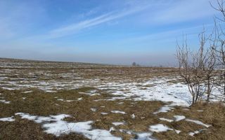 Teren de Vânzare – 7.500 mp la DN2, Fălticeni - Poză 3