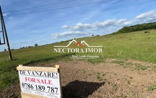 NECTORA IMOB-Teren Intravilan Baile Felix-Usa Oil, 8603 mp, Iesire DN - Poză 1