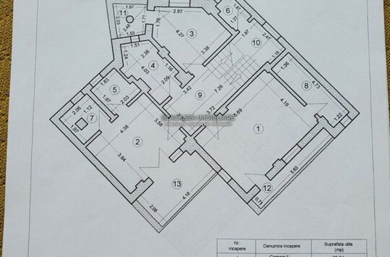 Ocazie unica de investitie in zona Ultracentrala l Vila 7 camere P+1+M - Poză 18