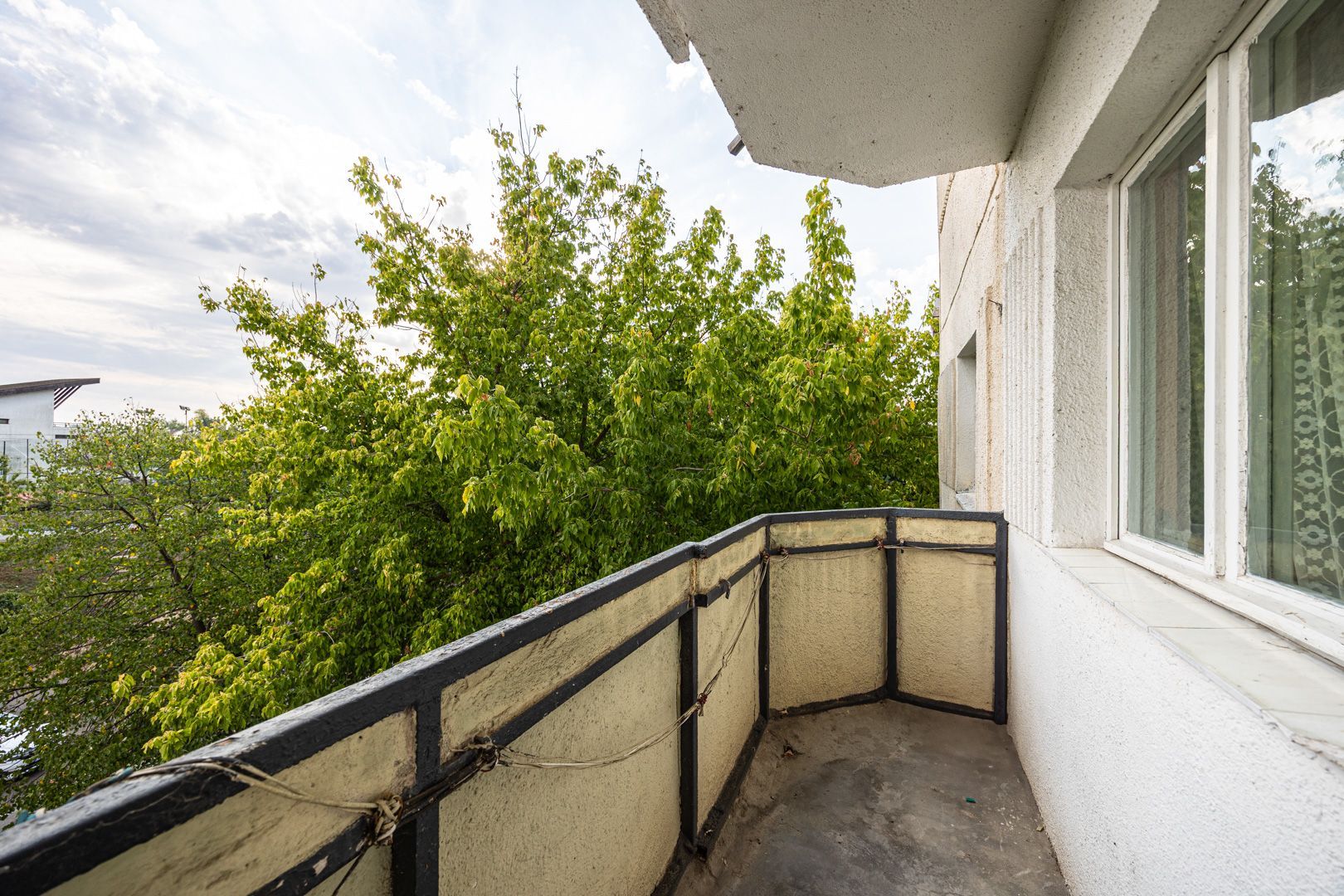 REZERVAT!Vedere directă spre faleza Mureșului, Micalaca 300 - Poză 10