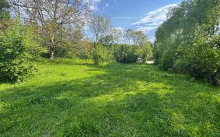 TEREN INTRAVILAN 2943 MP CAMPULUNG - Poză 10