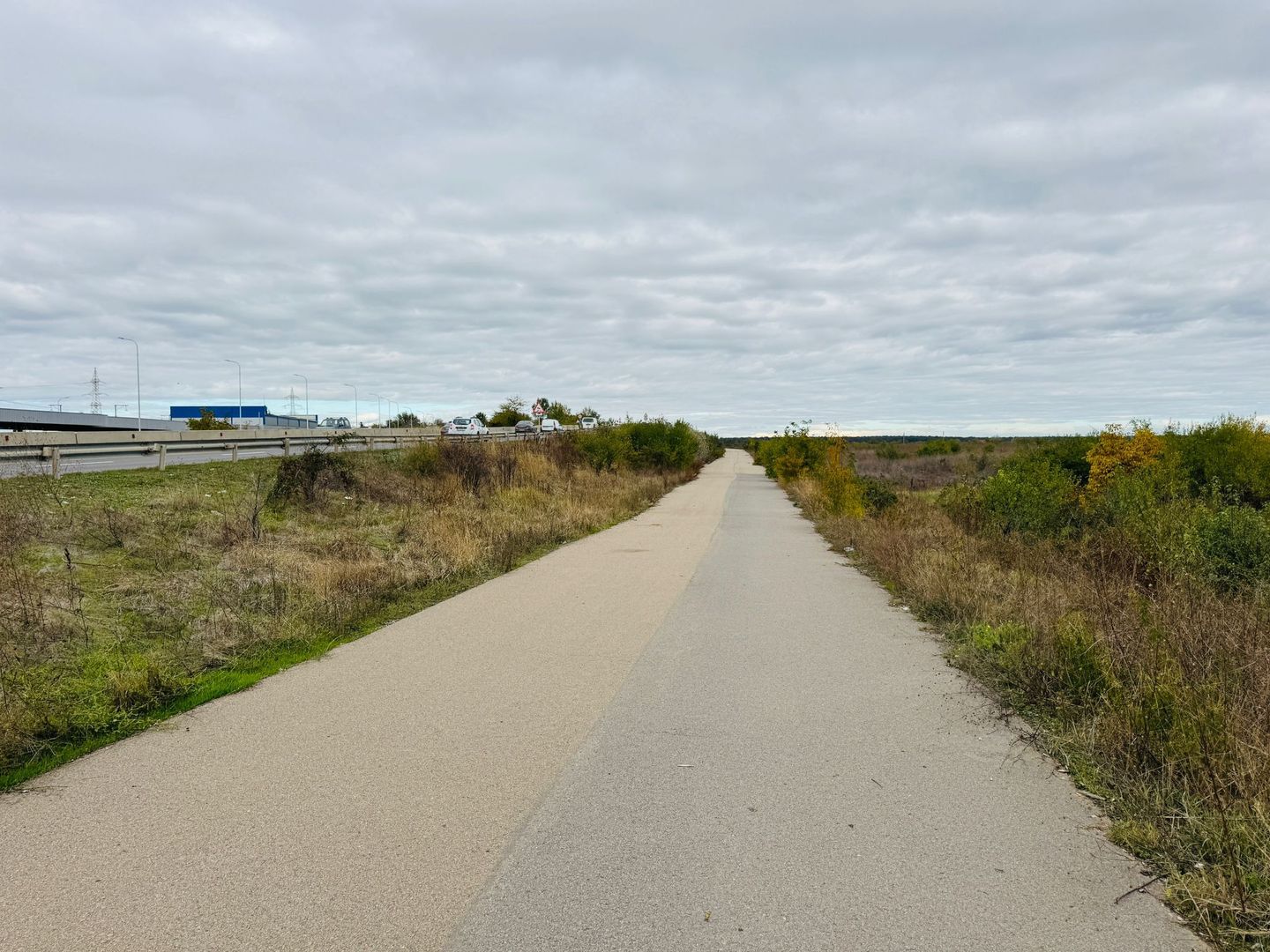 Teren extravilan Chitila/Mogosoia 15895mp - Poză 3