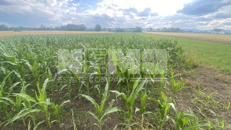 Teren Intravilan | 20 Ari | Frătăuții Noi - Poză 1