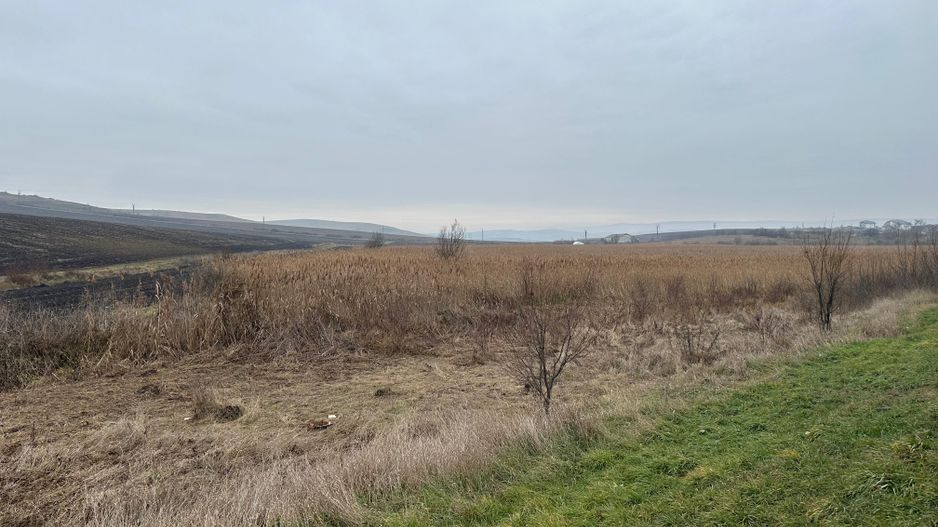 Teren 13.780 mp, Apahida, Cluj - Ideal pentru Investiție - Poză 7