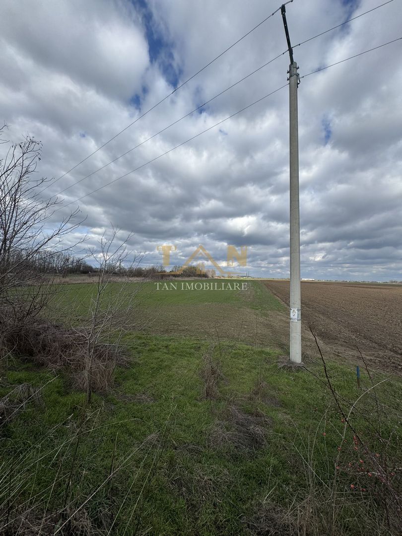 Teren cu acces din 2 drumuri principale DN si DJ Comision 0 - Poză 1