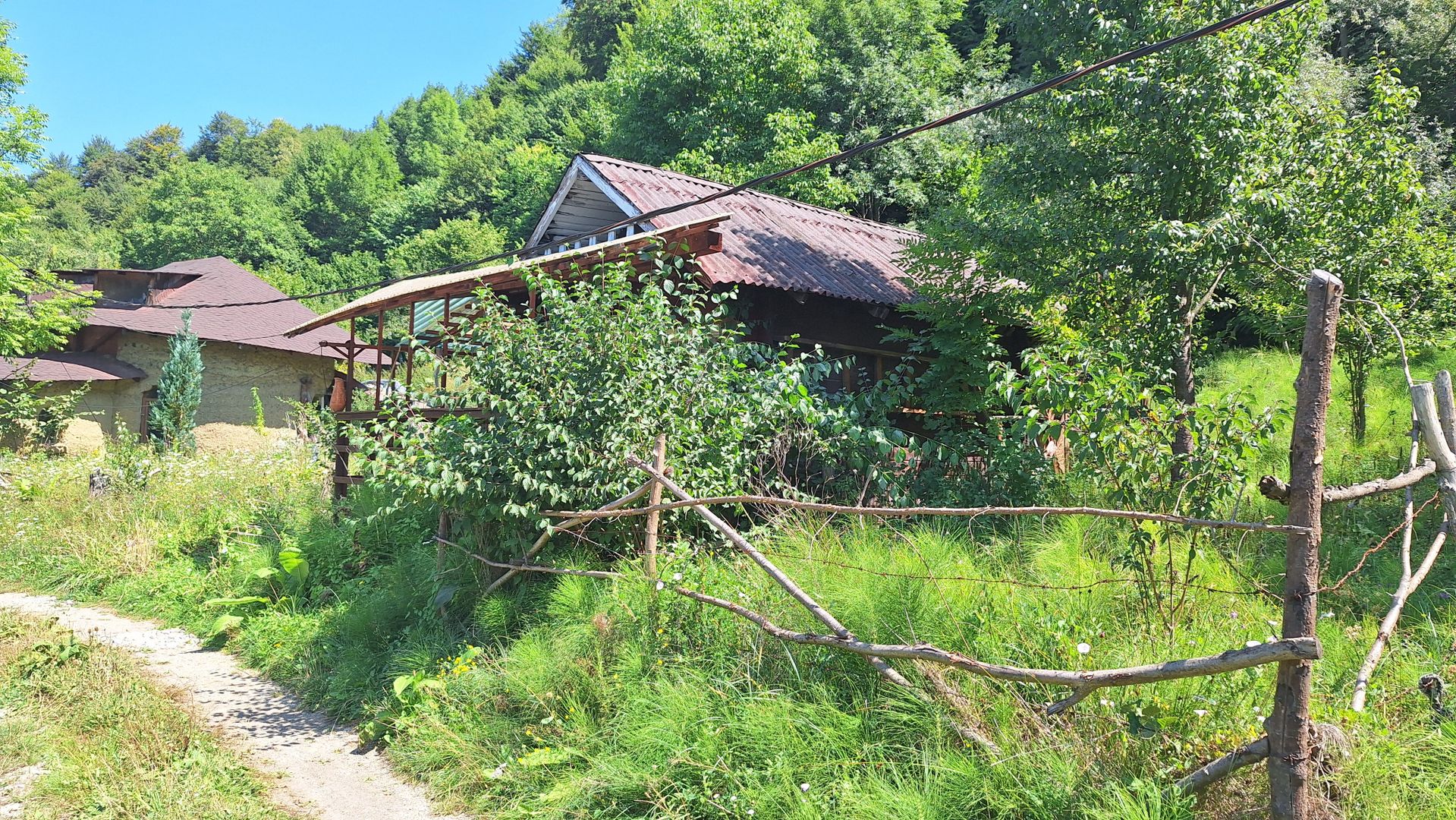 VANZARE ANSAMBLU CASUTE BRADULET ARGES - Poză 20