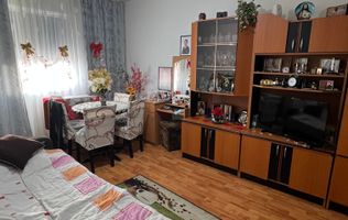 Apartament 2 camere de vânzare – Micro 7, Strada Pinilor | Etaj 10/10