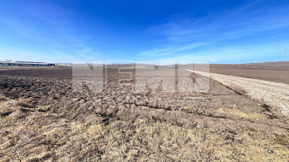 Vanzare I Teren I Suceava/Stroiesti I 100 ARI 2999 Euro/Ar - Poză 13