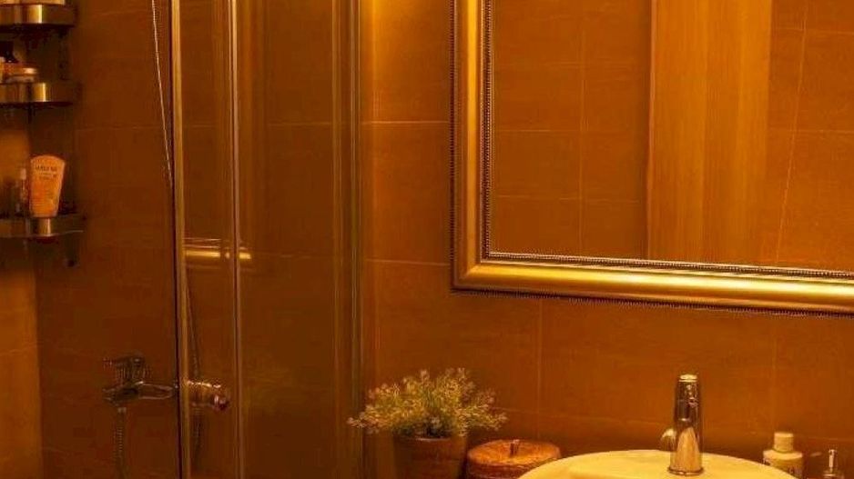 Vanzare Apartament 3 camere Parcul Sebastian, 13 Septembrie - Poză 8