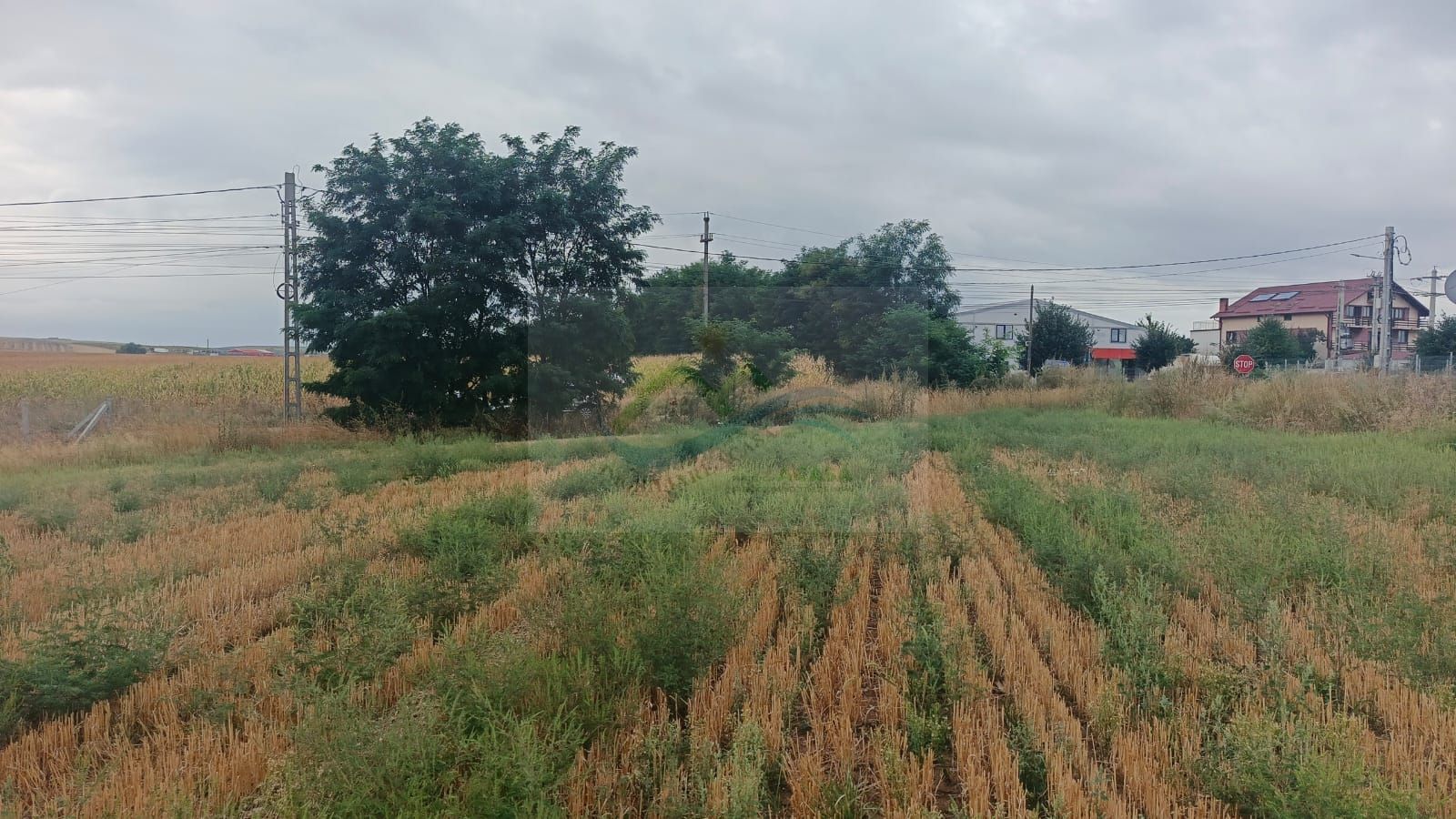 Teren de vânzare Moara Nică/Suceava - Poză 8