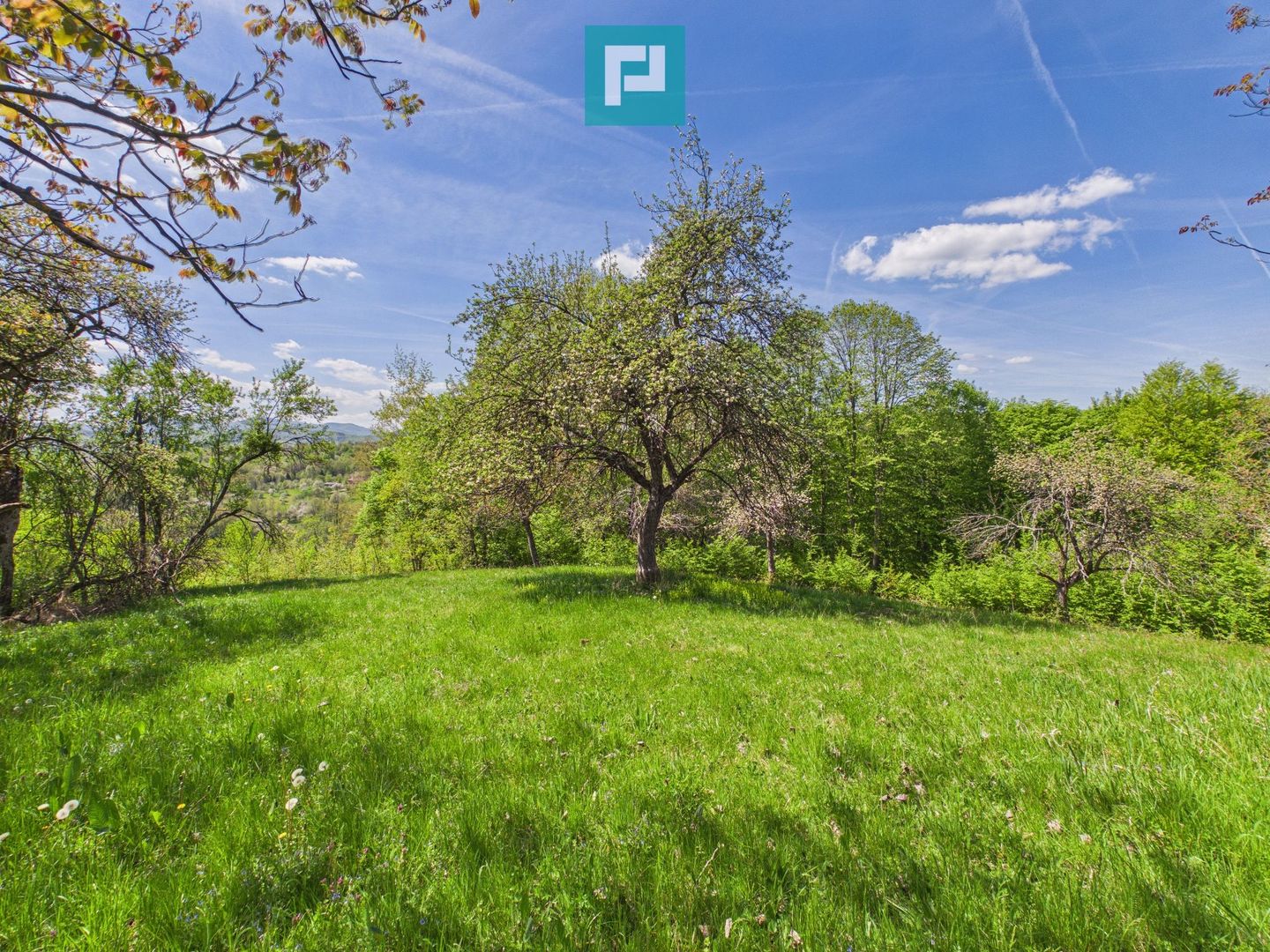 Proprietate rară cu 24.270 mp, în Măgulicea, Arad! - Poză 26