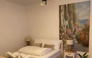 Apartament la casa I 30mpu I Pet frirendly I Ultracentral - Poză 1