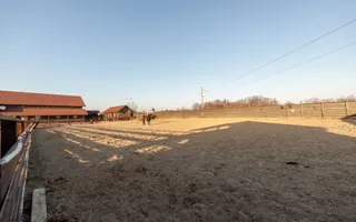 Inchiriere - Centrul de Echitatie Andaluz - Ciocanai, Jud. Arges! - Poză 13