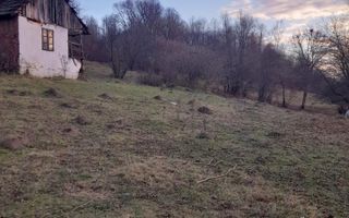 TEREN INTRAVILAN 5461 MP, BUGHEA DE JOS, ARGES - Poză 8