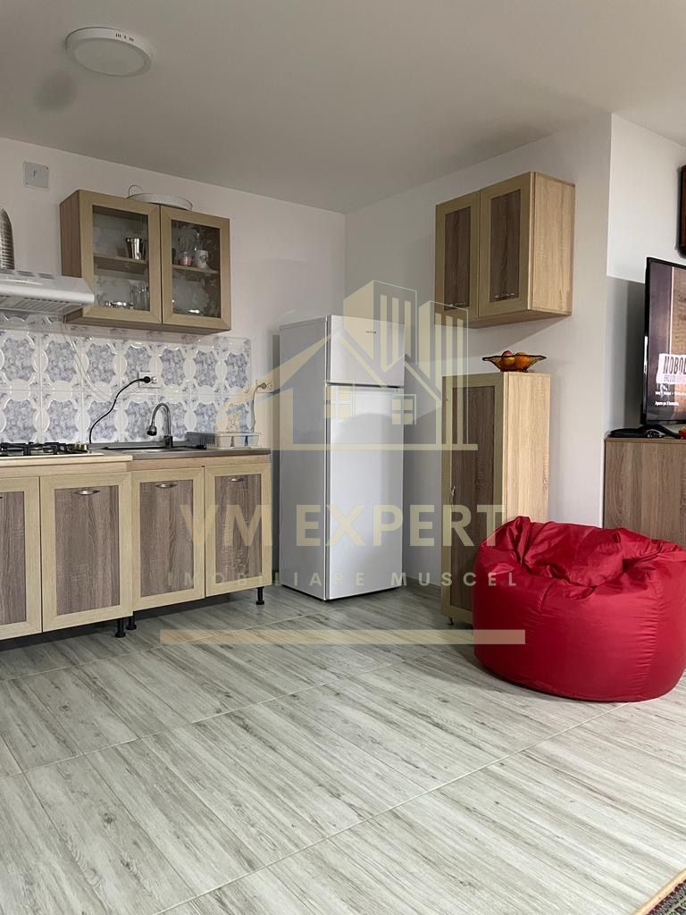 CASA 3 CAMERE, TEREN 3100 MP, ALBESTI DE MUSCEL, ARGES - Poză 10
