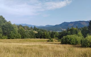 teren Colibita - 2 hectare - acces direct din drumul 173 D - Poză 4