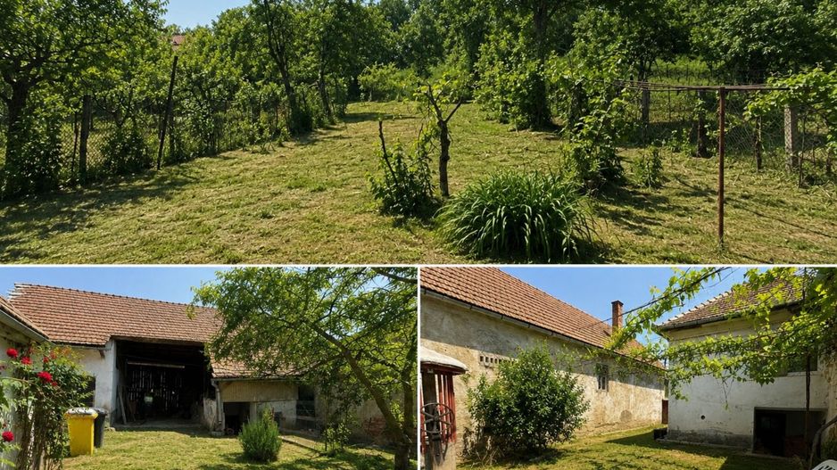 Casa de 3 camere,  Axente Sever - Poză 9