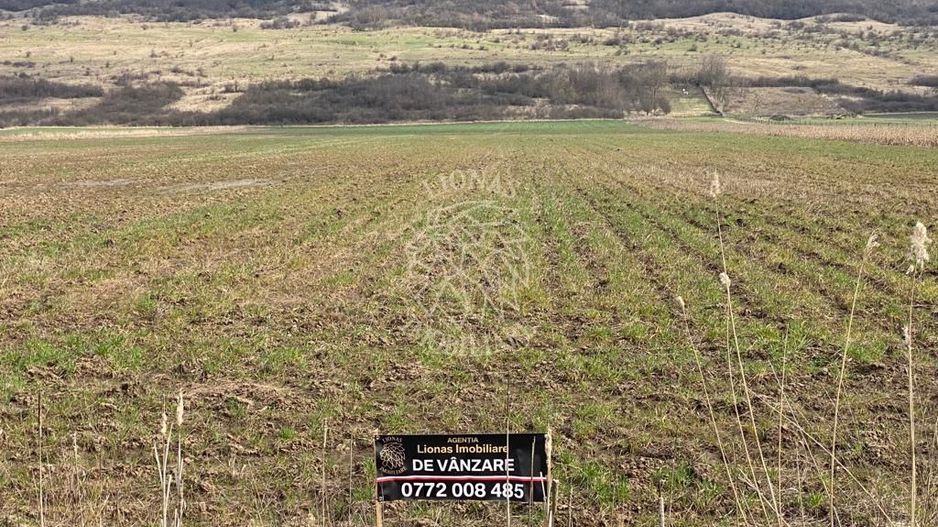 Teren Intravilan-3750mp- zona in plina dezvoltare-Podirei - Poză 4