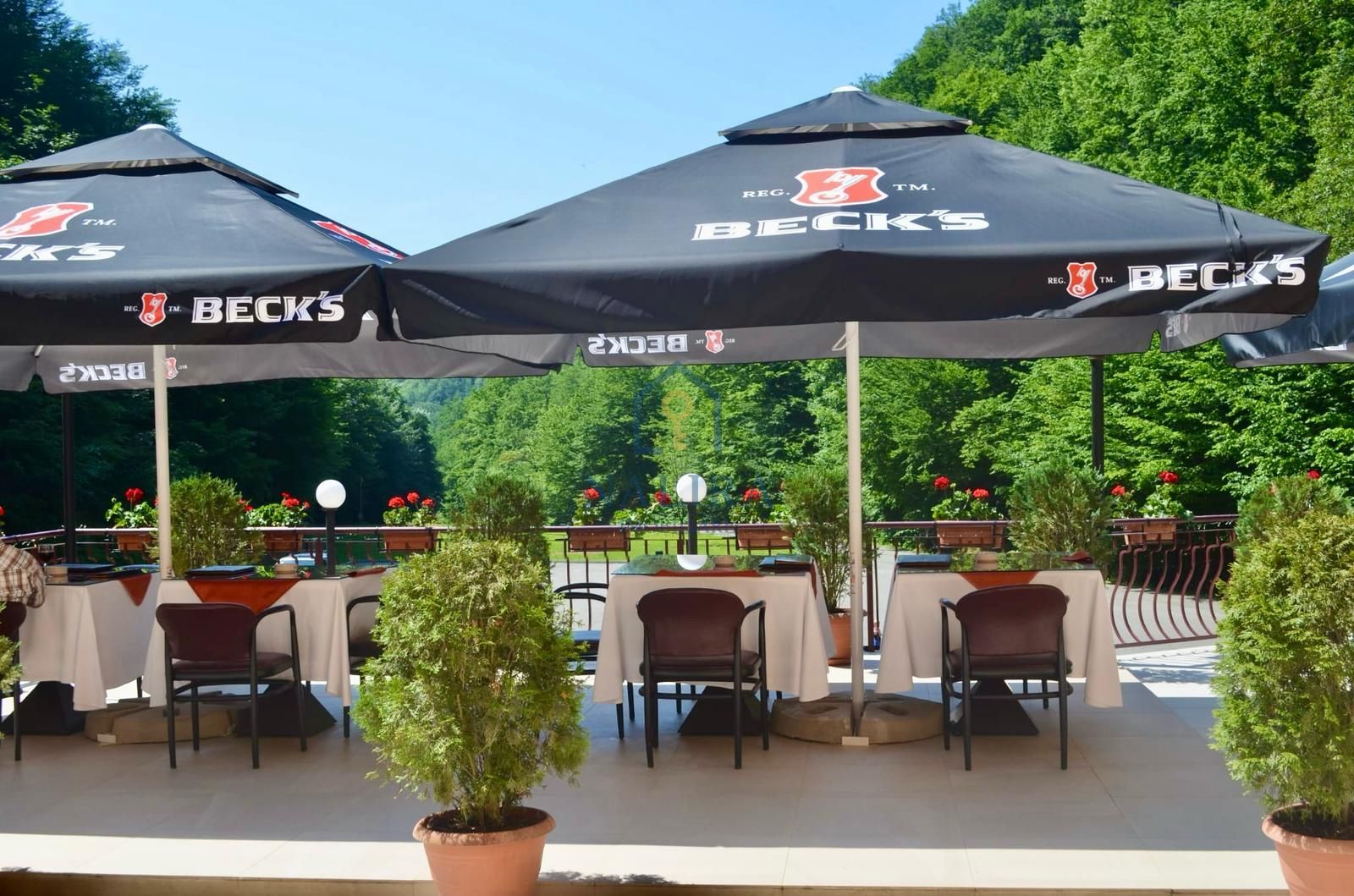 Pensiune Baia Mare - Poză 7