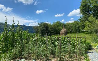 Casa 4 camere 170 mp-teren 1600 mp-terasa-gradina-Nasaud Central - Poză 7