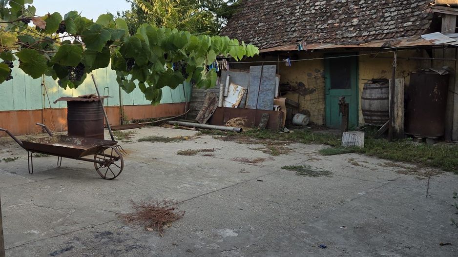 Casă și teren 2177 mp Ortisoara -28ml front-comision 0 - Poză 9