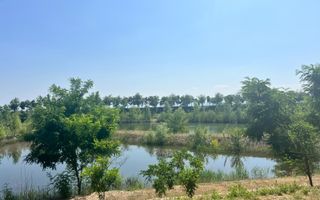 Iaz Piscicol Bacau Saucesti - Poză 4