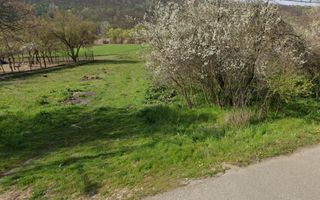TEREN DE VANZARE IN BRADESTII BATRANI  -4300 mp intravilan - Poză 1