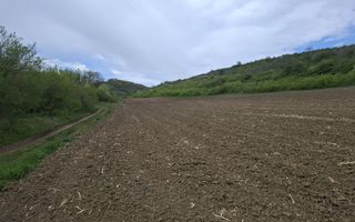 Parcele de teren intravilan cu utilitati-Rasinari-Sibiu - Poză 5
