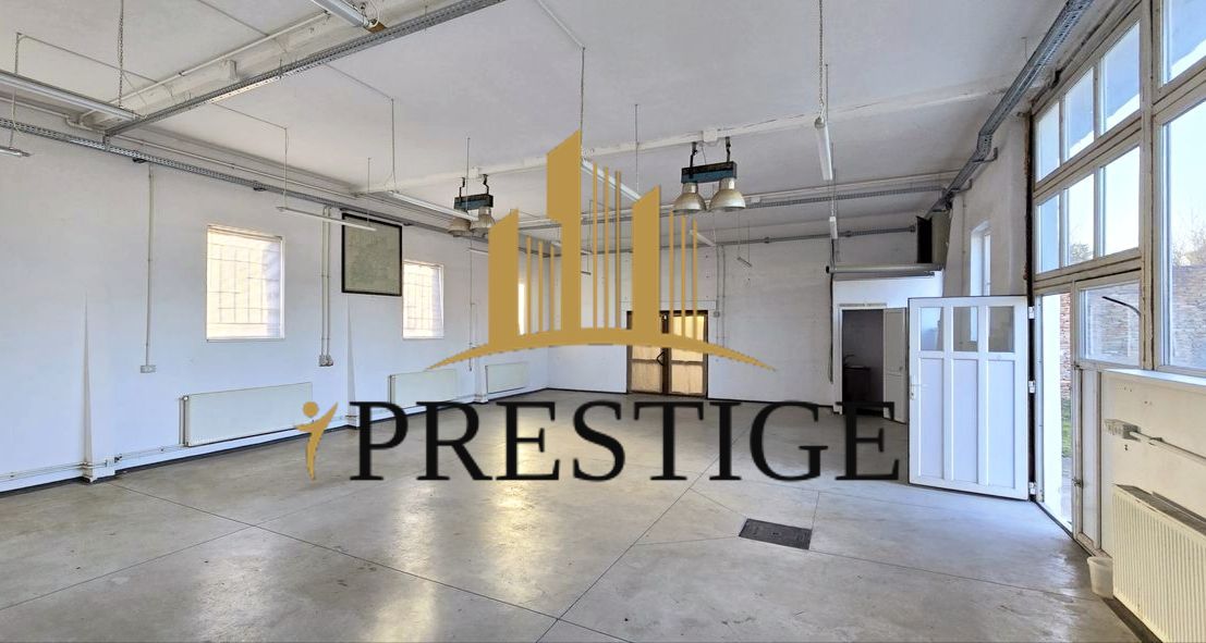 HALĂ DEPOZITARE/PRODUCȚIE 130 MP+CURTE | ACCES TIR | TRIFAZIC - Poză 2