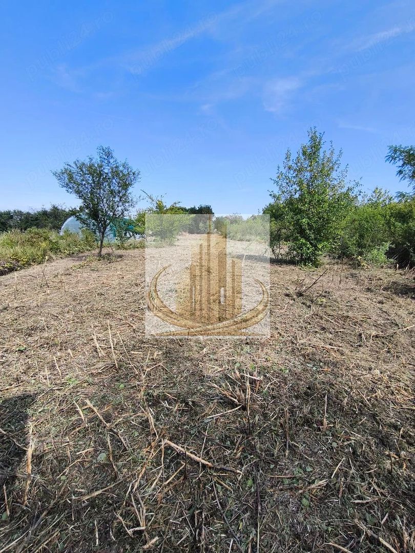 Teren 5.800 mp Timișoara Ghiroda - Poză 1