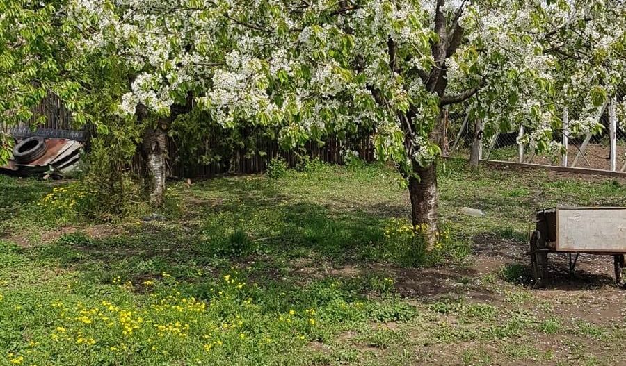 Teren 2.600 mp, utilități, Str. Merișor – Giurgiu - Poză 12