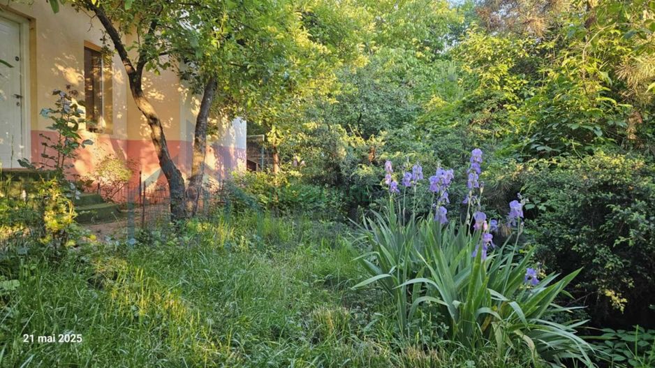 Vila de închiriat în Copou, gard în gard cu Grădina Botanică - Poză 5