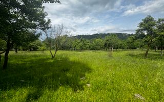 TEREN INTRAVILAN 4600 MP, VOINESTI, LERESTI, ARGEȘ - Poză 3