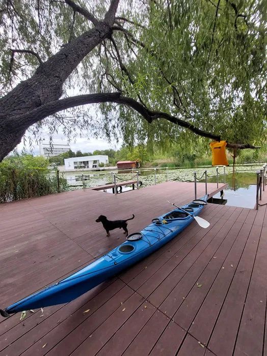 Vila cu ponton de inchiriat | Lacul Snagov - Poză 2