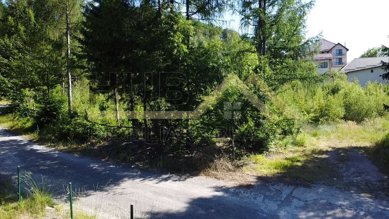 Oportunitate Investitie Teren Dambu Morii | Necesar PUD | Utilitati | 4.800mp - Poză 8