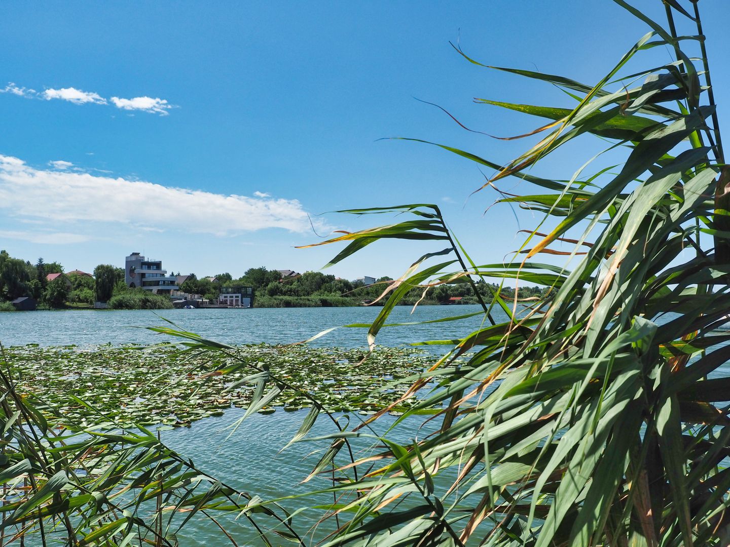 NOU-VILA 6 CAMERE SNAGOV IZVORANI LAC -TEREN 1800mp - Poză 1