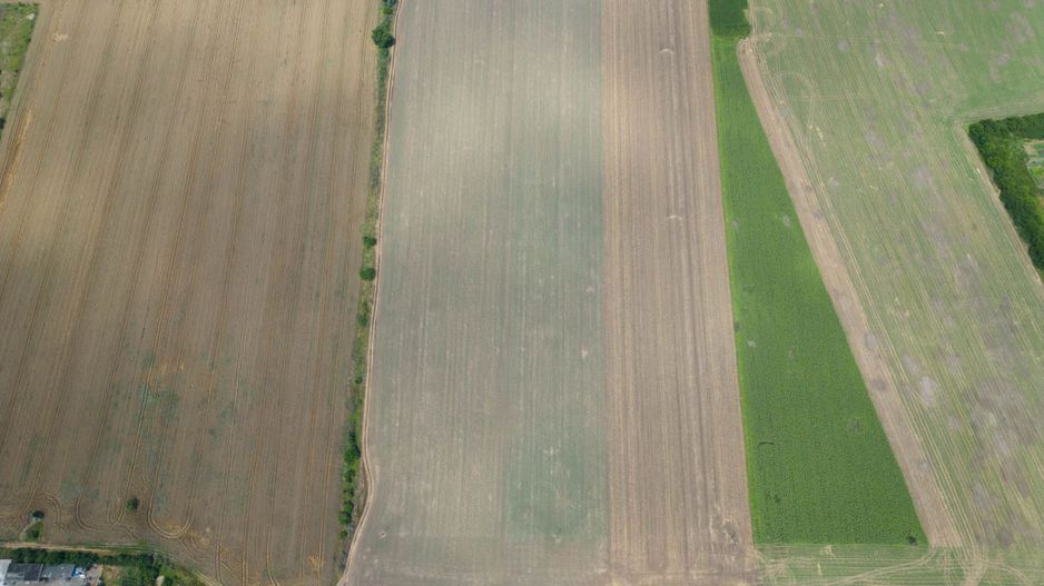 Teren extravilan 12.000 mp DN79 Arad-Oradea - Poză 4