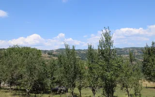 Fabrică de cherestea | Câmpeni | teren 8.000 mp - Poză 17