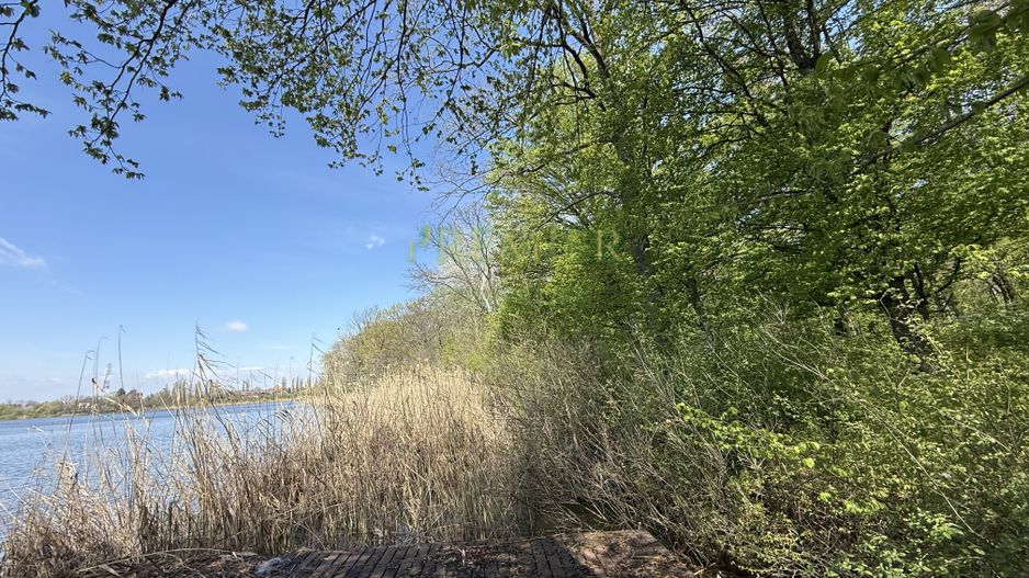 TEREN 7000 MP| DESCHIDERE 40 ML | INTRAVILAN-PADURE | POT 5% | TEREN UNIC | - Poză 2