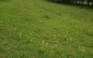 Teren 2000 mp | Sebeșu de Jos | Deschidere 25 ml | Utilități in proximitate - Poză 1