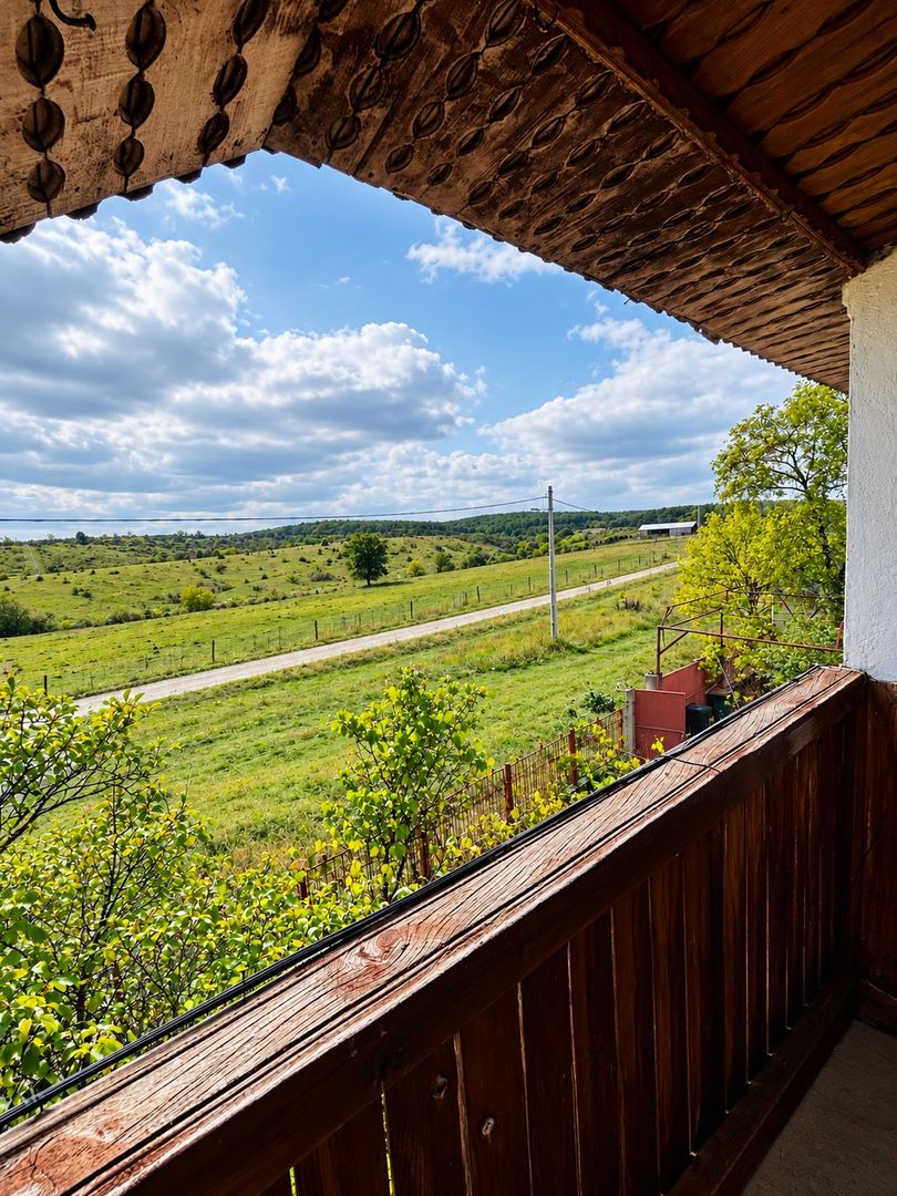 Casa P+M, Felcheriu, la 18 km de Oradea - Poză 17