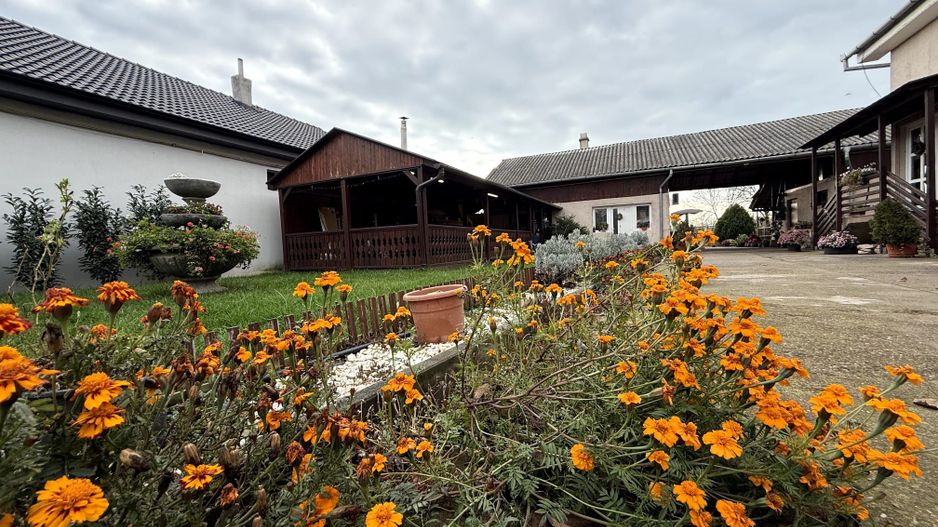 Casa 330 mp | cu teren 2300 mp | Santandrei - langa Oradea - Poză 3