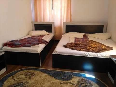 Priveliste catre Lacul Vidraru, teren 2100mp, vad turistic permanent - Poză 6