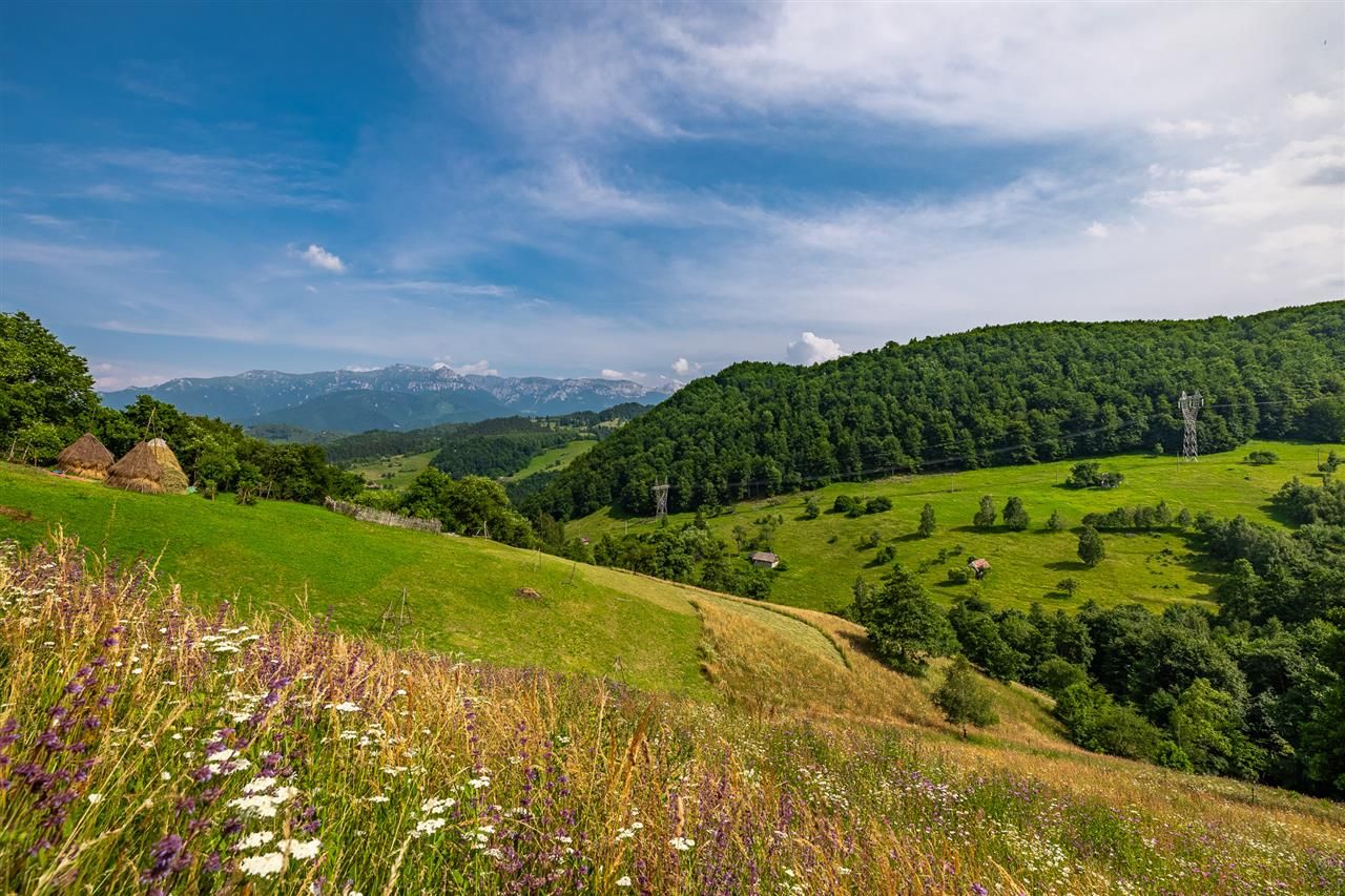 Aproape 4.000 mp, in fascinatia decorului montan, Bran, Moieciu de Jos, Brasov - Poză 4