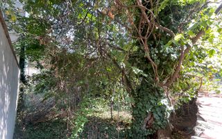 Teren Intravilan ***418mp*** posibilitate constructie S+P+2E+3ER // Floreasca - Poză 5